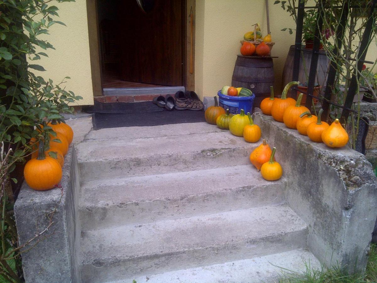 U Potoka Holiday home